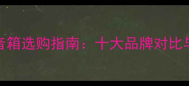 图片 定制HiFi音箱选购指南：十大品牌对比与避坑指南