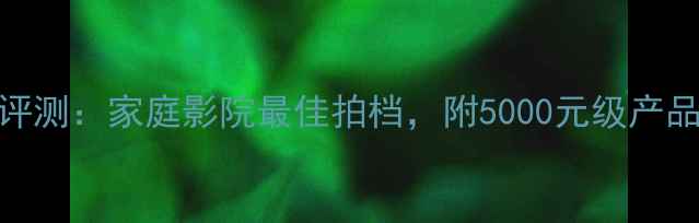 图片 宝华韦健19音箱深度评测：家庭影院最佳拍档，附5000元级产品参数对比与选购指南