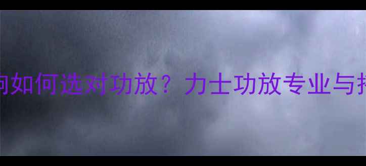 图片 宝华音响如何选对功放？力士功放专业与搭配指南