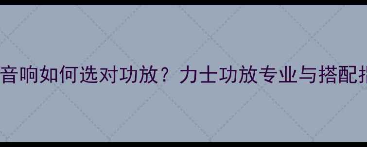 图片 宝华音响如何选对功放？力士功放专业与搭配指南1