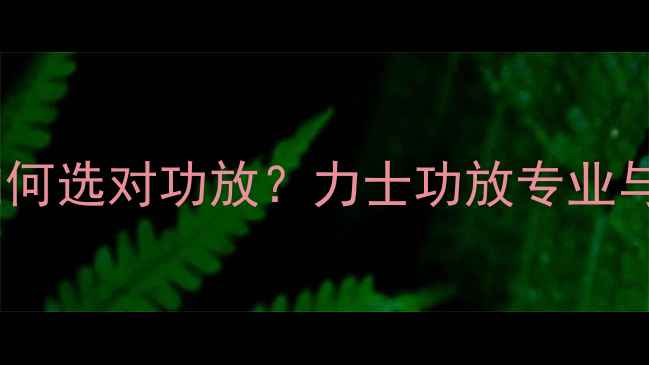 图片 宝华音响如何选对功放？力士功放专业与搭配指南2