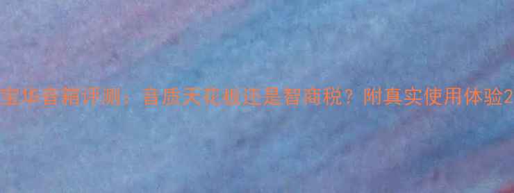图片 宝华音箱评测：音质天花板还是智商税？附真实使用体验2