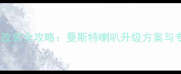 图片 宝马528音响改装全攻略：曼斯特喇叭升级方案与专业安装指南