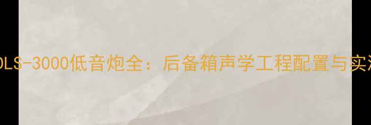 图片 宝马X5改装DLS-3000低音炮全：后备箱声学工程配置与实测效果报告1
