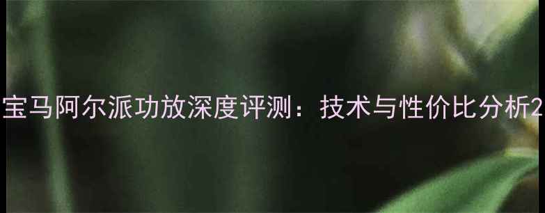 图片 宝马阿尔派功放深度评测：技术与性价比分析2