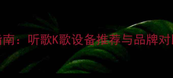 图片 家庭KTV功放选购指南：听歌K歌设备推荐与品牌对比（附热门型号）1