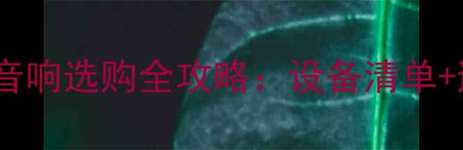 图片 家庭KTV音响选购全攻略：设备清单+避坑指南