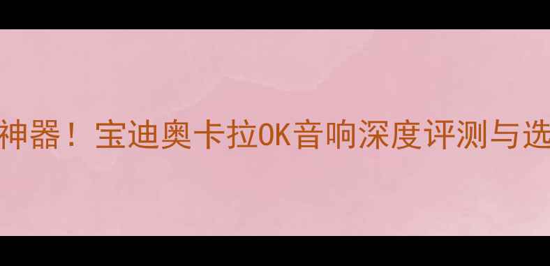 图片 家庭K歌神器！宝迪奥卡拉OK音响深度评测与选购指南2