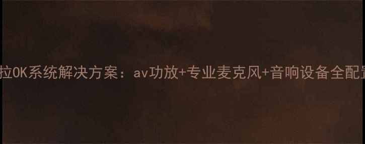 图片 家庭卡拉OK系统解决方案：av功放+专业麦克风+音响设备全配置指南2