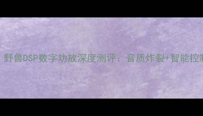 图片 家庭影院功放天花板！野兽DSP数字功放深度测评：音质炸裂+智能控制，颠覆你的听感体验