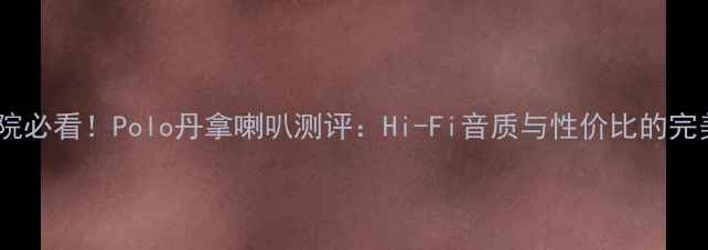 图片 家庭影院必看！Polo丹拿喇叭测评：Hi-Fi音质与性价比的完美平衡2
