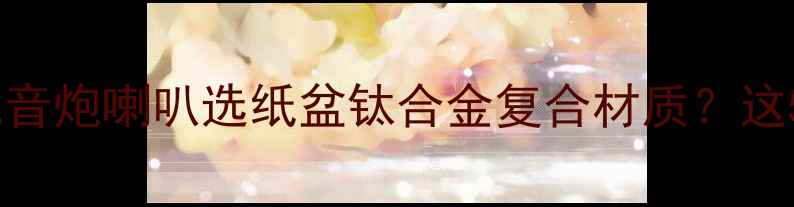 图片 家庭影院车载音响必看！低音炮喇叭选纸盆钛合金复合材质？这5种类型对比测评+选购攻略