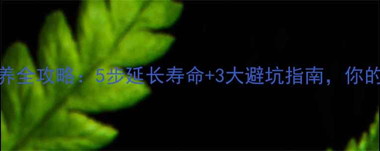 图片 家庭影院音响喇叭保养全攻略：5步延长寿命+3大避坑指南，你的设备还能多用5年！2