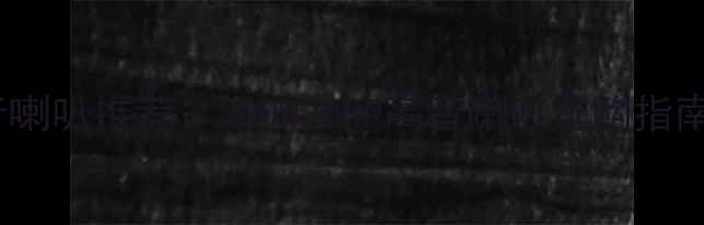 图片 家庭影院高音喇叭推荐：200W208P高音喇叭选购指南与使用技巧2