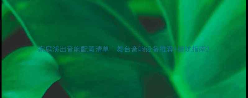 图片 家庭演出音响配置清单｜舞台音响设备推荐+避坑指南2