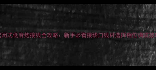 图片 密闭式低音炮接线全攻略：新手必看接线口线材选择相位调试技巧