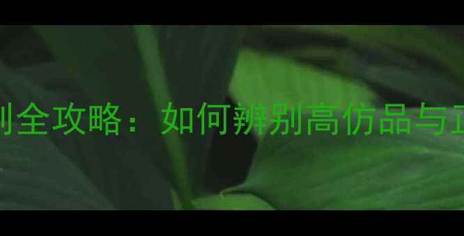 图片 富盛音响线材真伪鉴别全攻略：如何辨别高仿品与正品？附权威选购指南