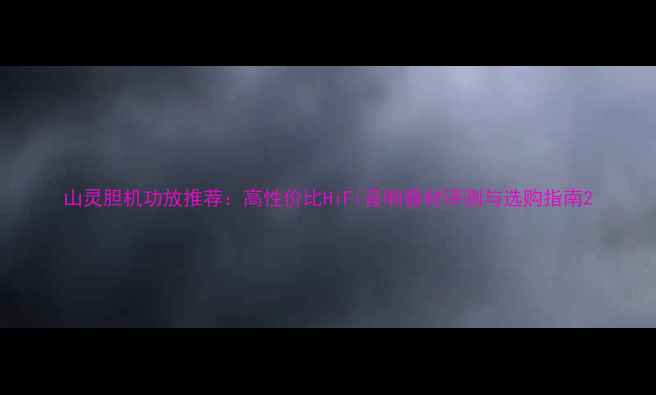 图片 山灵胆机功放推荐：高性价比HiFi音响器材评测与选购指南2