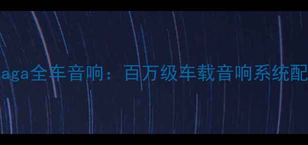 图片 布加迪ChironSaga全车音响：百万级车载音响系统配置与调校细节2