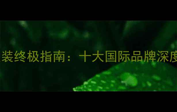 图片 布加迪威龙音响改装终极指南：十大国际品牌深度评测与选装方案1