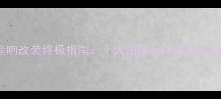 图片 布加迪威龙音响改装终极指南：十大国际品牌深度评测与选装方案2