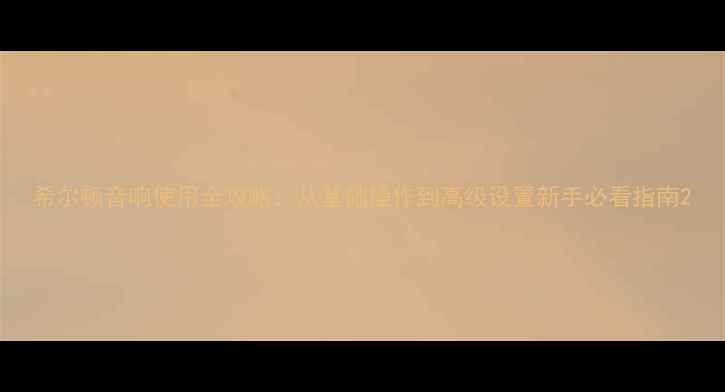 图片 希尔顿音响使用全攻略：从基础操作到高级设置新手必看指南2