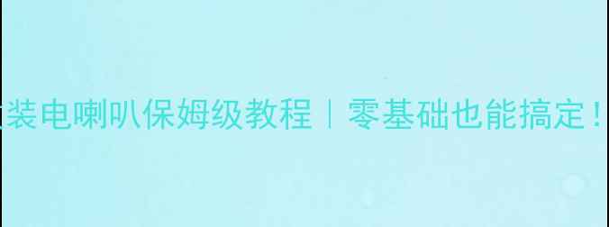 图片 帕拉丁音响改装电喇叭保姆级教程｜零基础也能搞定！附避坑指南2