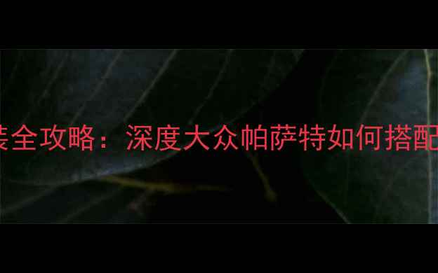 图片 帕萨特音响改装全攻略：深度大众帕萨特如何搭配惠威音响系统1