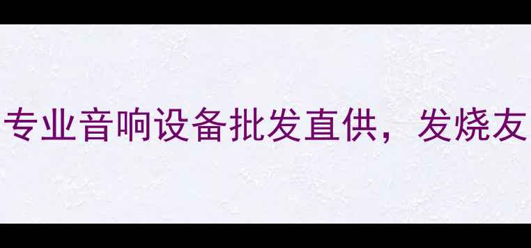 图片 广东发烧音响代理：专业音响设备批发直供，发烧友首选一站式采购平台