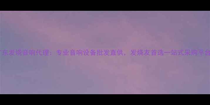 图片 广东发烧音响代理：专业音响设备批发直供，发烧友首选一站式采购平台2