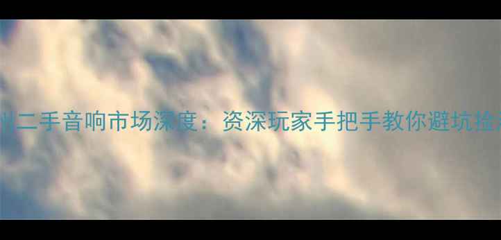 图片 广州二手音响市场深度：资深玩家手把手教你避坑捡漏1