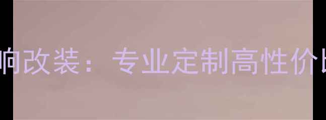 图片 广州立善汽车音响改装：专业定制高性价比无损安装服务1