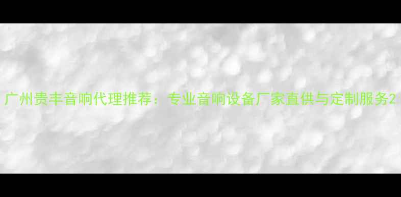 图片 广州贵丰音响代理推荐：专业音响设备厂家直供与定制服务2