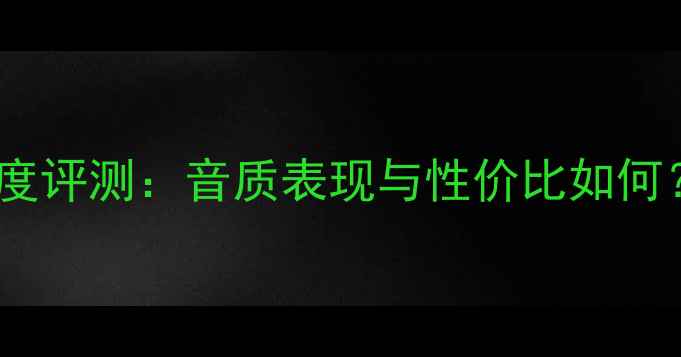 图片 广州领航音箱深度评测：音质表现与性价比如何？真实体验报告2