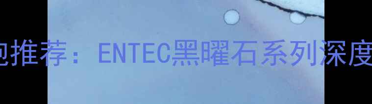 图片 度最佳家用低音炮推荐：ENTEC黑曜石系列深度评测与选购指南2