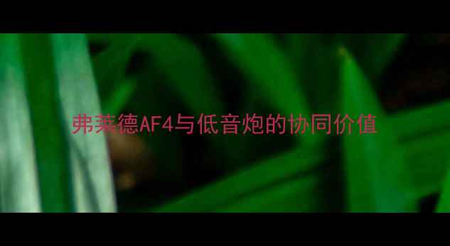 图片 弗莱德AF4与低音炮的协同价值