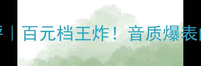 图片 德国TE302音箱测评｜百元档王炸！音质爆表的家庭影院神器🎵1