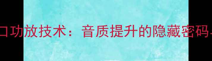 图片 德国T型接口功放技术：音质提升的隐藏密码与选购指南