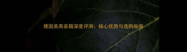 图片 德国美高音箱深度评测：核心优势与选购指南