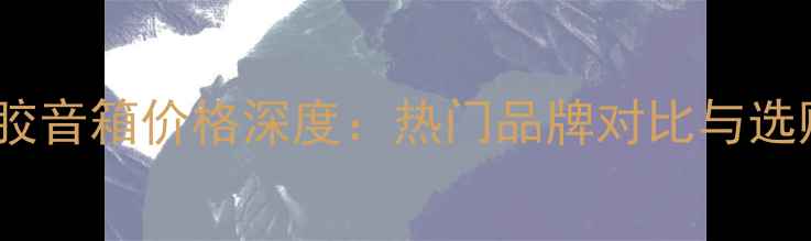 图片 德国黑胶音箱价格深度：热门品牌对比与选购指南1