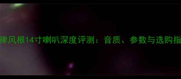 图片 德律风根14寸喇叭深度评测：音质、参数与选购指南