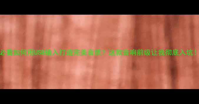 图片 必看如何用USB输入打造完美音质？这款音响前级让我彻底入坑！