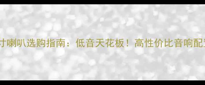 图片 惠威10寸喇叭选购指南：低音天花板！高性价比音响配置方案2