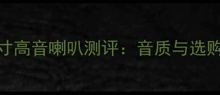 图片 惠威3寸高音喇叭测评：音质与选购指南2