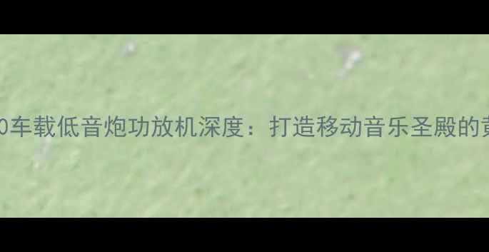 图片 惠威D1000车载低音炮功放机深度：打造移动音乐圣殿的黄金搭档1