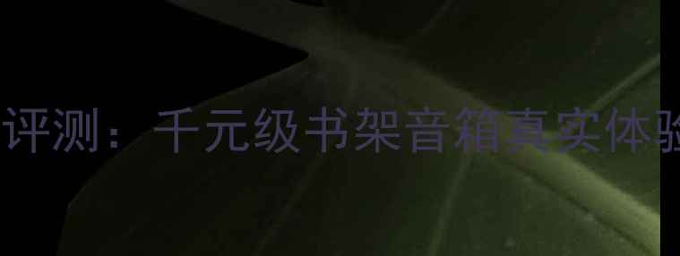 图片 惠威HX15深度评测：千元级书架音箱真实体验与选购指南1