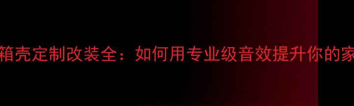 图片 惠威TW101音箱壳定制改装全：如何用专业级音效提升你的家庭影音体验1