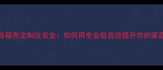 图片 惠威TW101音箱壳定制改装全：如何用专业级音效提升你的家庭影音体验2