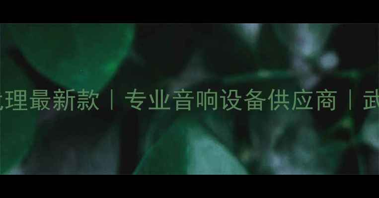 图片 惠威音箱武汉代理最新款｜专业音响设备供应商｜武汉本地直营店1