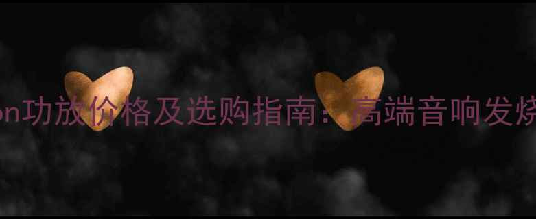 图片 意大利Aeron功放价格及选购指南：高端音响发烧友必看全2